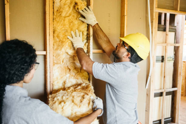 Best Home Insulation Services  in Colonial Rk, PA